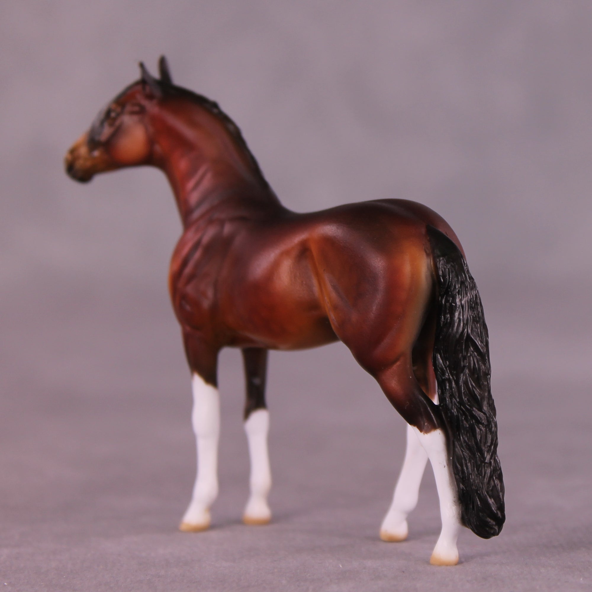 Gable OOAK Andalusian Chip by Dawn Quick LHS25