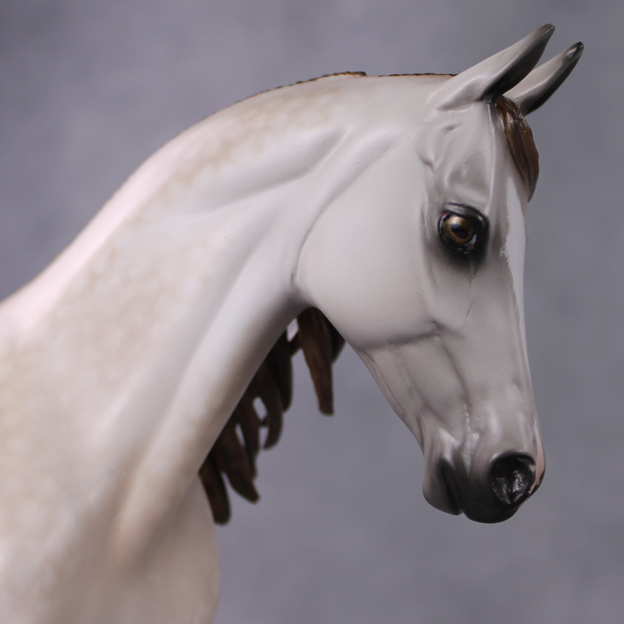 Stone Horses OOAK FCM "Ablaze" - Rose Grey Thoroughbred by Sheryl Leisure &amp; Mona 02/11/2025