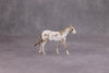 PREVIEW LISTING ONLY Whatsamater OOAK Custom Appy Mule Chip By Andrea Thomason MM24 MHP Auction