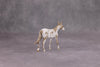 PREVIEW LISTING ONLY Whatsamater OOAK Custom Appy Mule Chip By Andrea Thomason MM24 MHP Auction