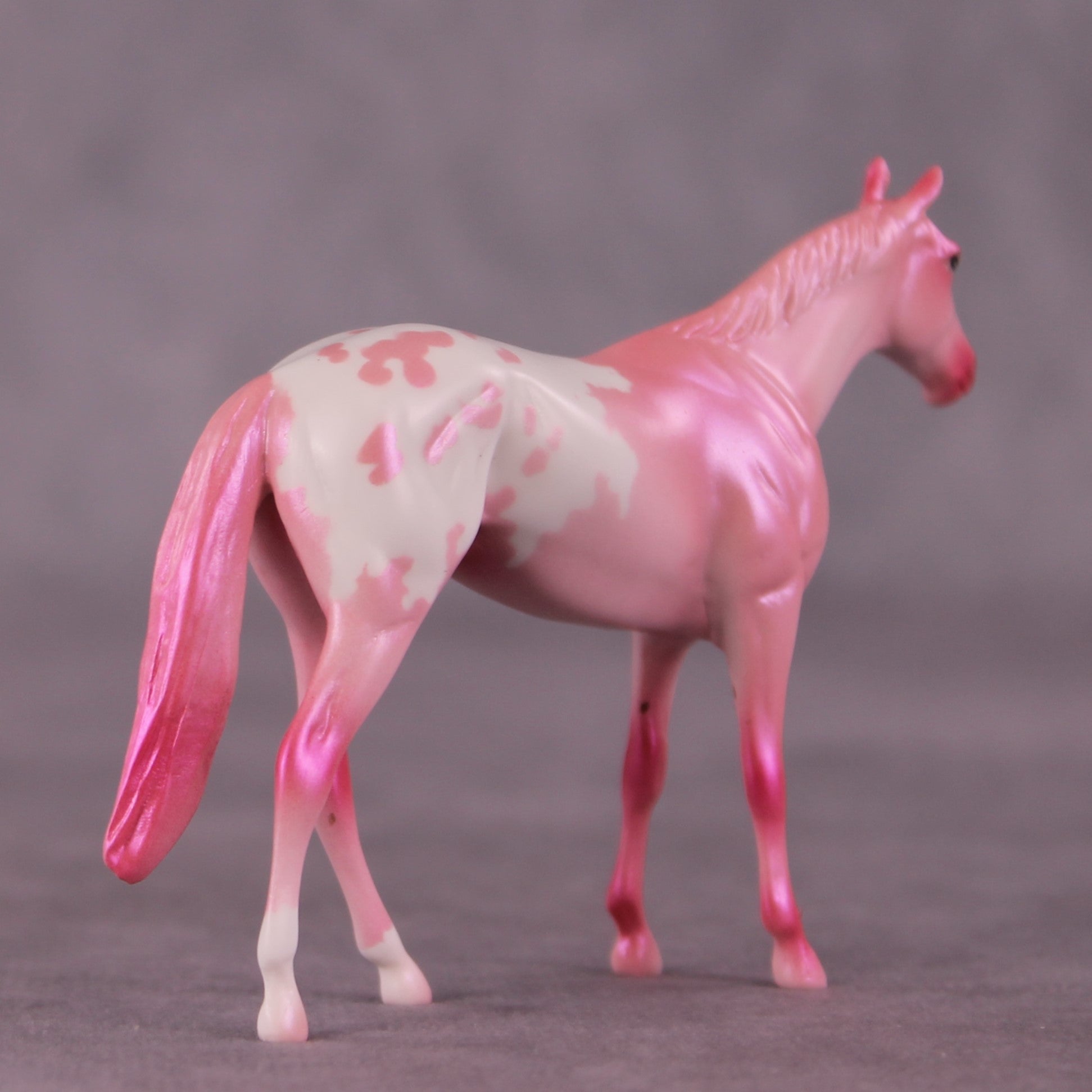 &quot;Sugar Rush&quot; OOAK Thoroughbred Chip by Erin Corbett EQ25