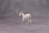 PREVIEW LISTING ONLY Whatsamater OOAK Custom Appy Mule Chip By Andrea Thomason MM24 MHP Auction