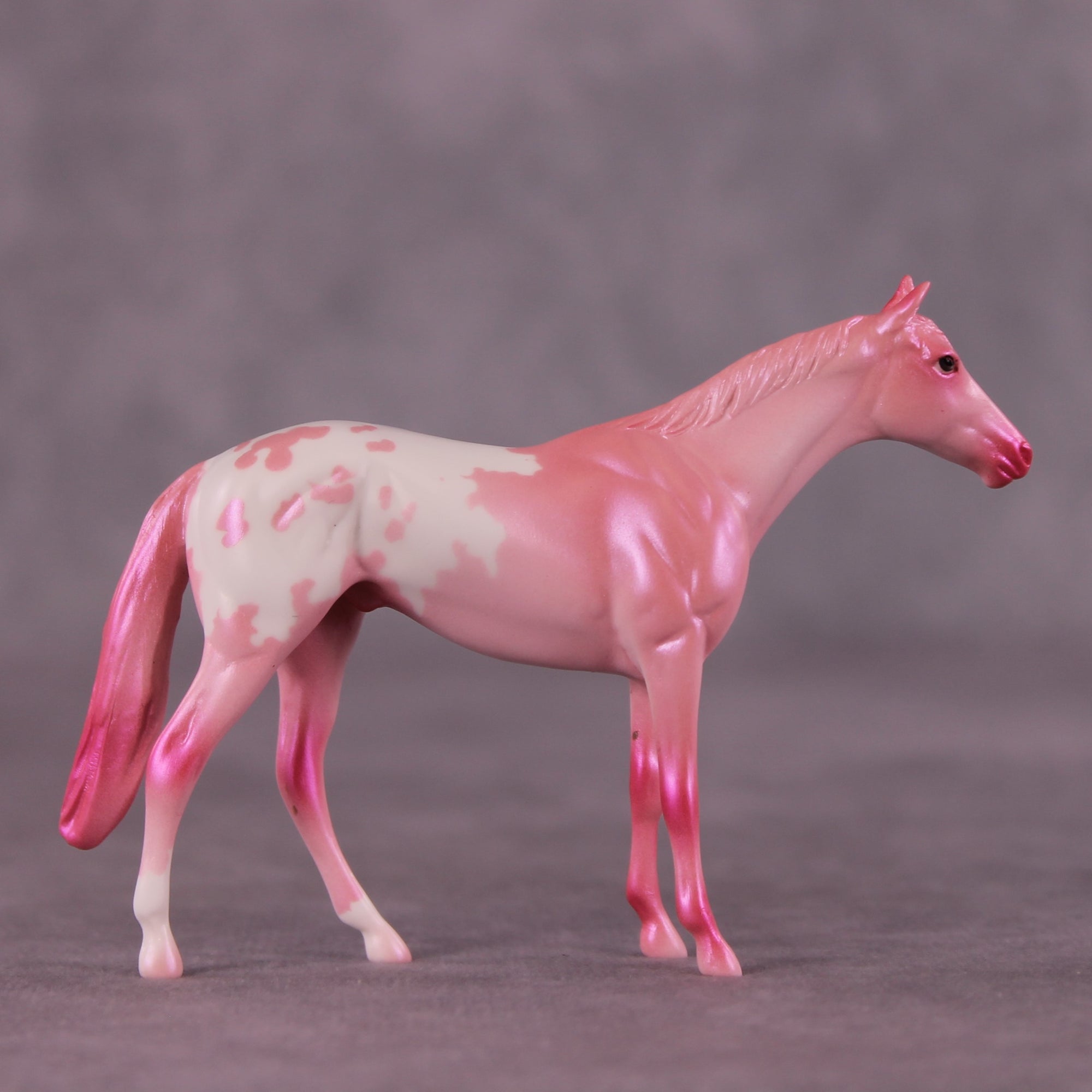 &quot;Sugar Rush&quot; OOAK Thoroughbred Chip by Erin Corbett EQ25