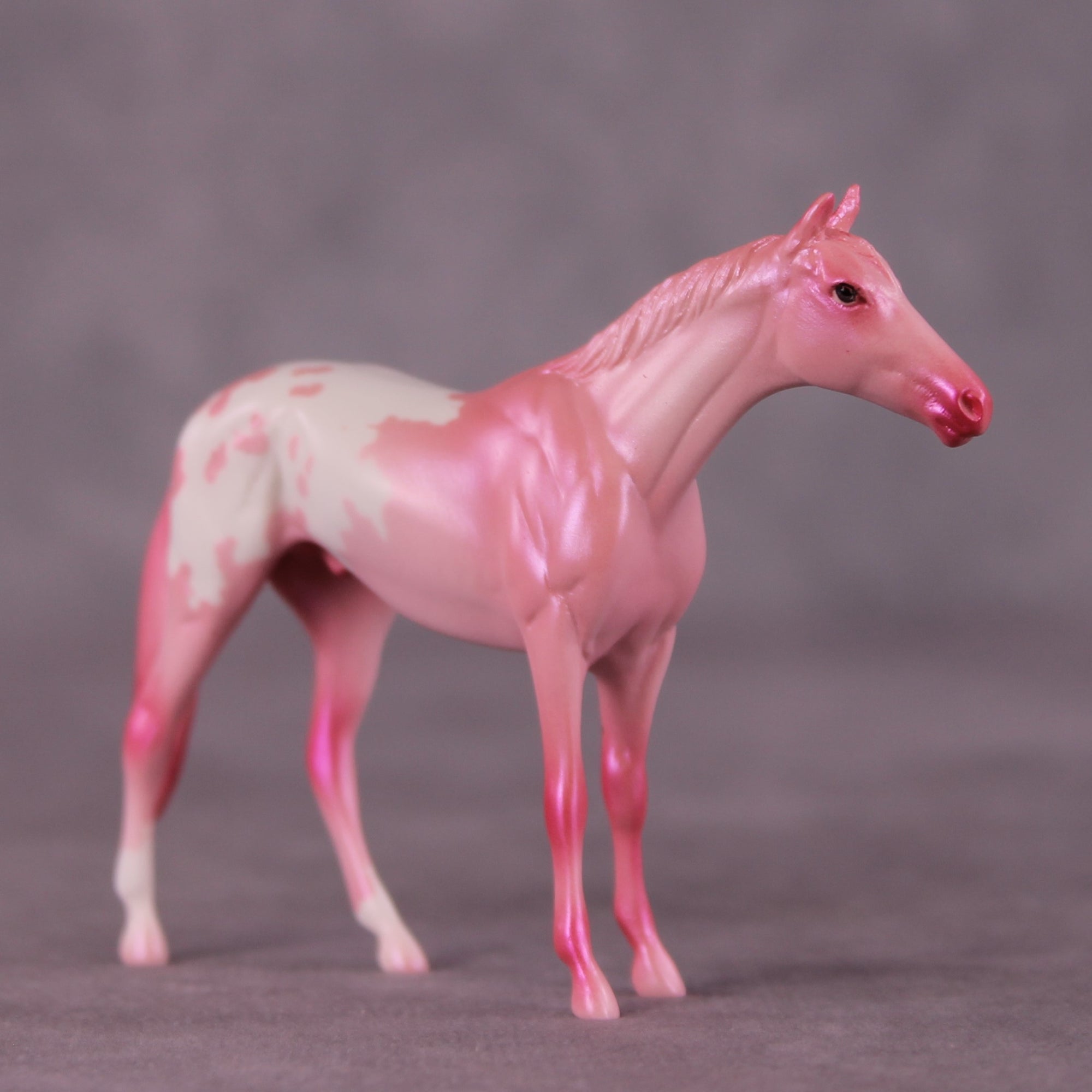 &quot;Sugar Rush&quot; OOAK Thoroughbred Chip by Erin Corbett EQ25