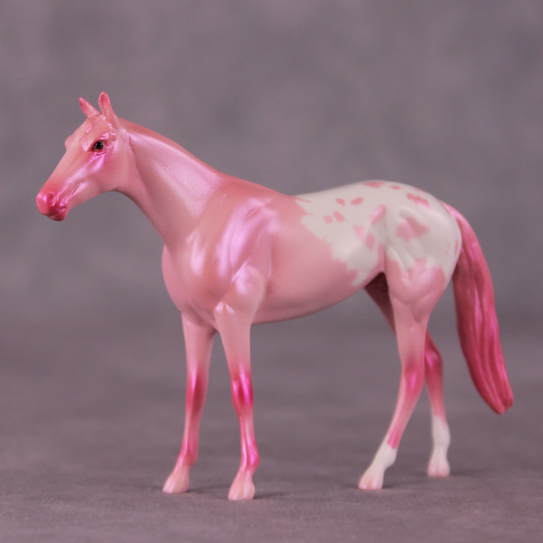 "Sugar Rush" OOAK Thoroughbred Chip by Erin Corbett EQ25