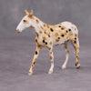 PREVIEW LISTING ONLY Melba OOAK Custom Appy Mule Chip By Andrea Thomason MM24 MHP Auction