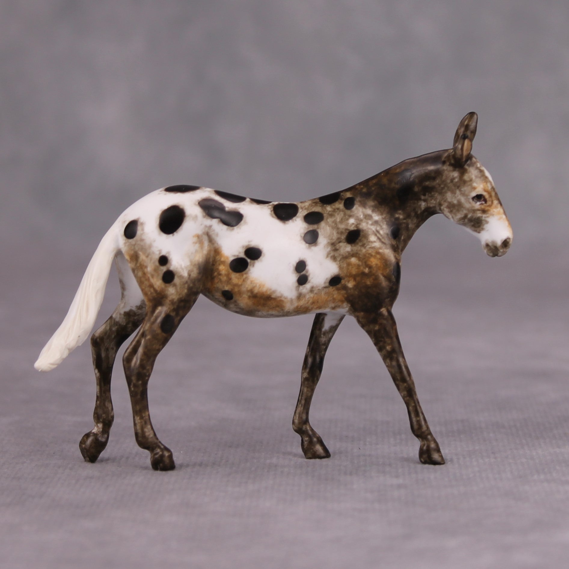 PREVIEW LISTING ONLY Mariachi OOAK Custom Appy Mule Chip By Andrea Thomason MM24 MHP Auction