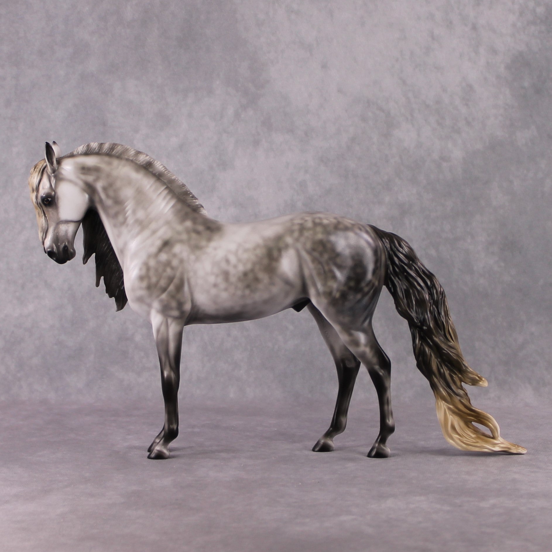 "Pinchy" OOAK FCM Andalusian By Mindy Berg