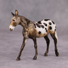 PREVIEW LISTING ONLY Mariachi OOAK Custom Appy Mule Chip By Andrea Thomason MM24 MHP Auction