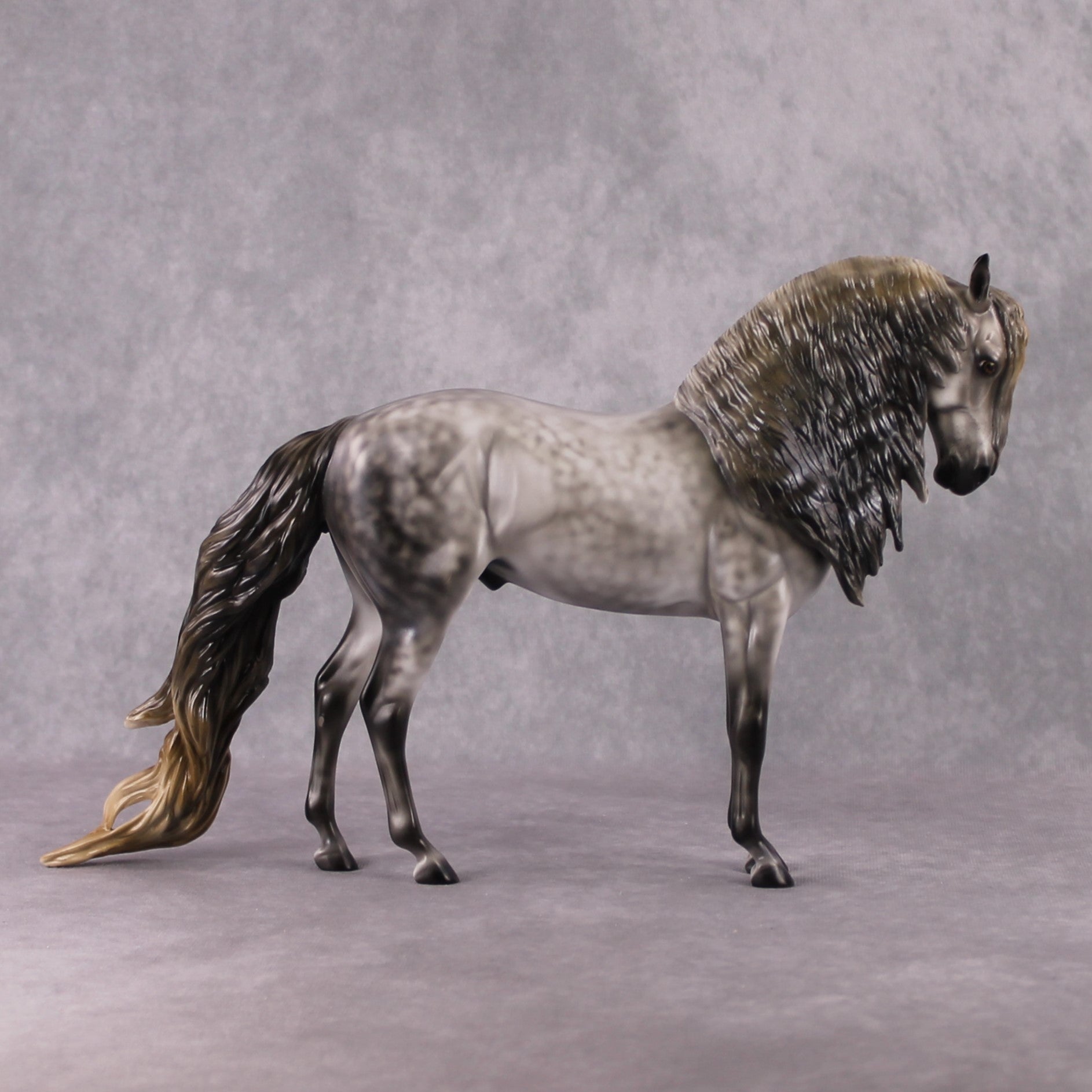 "Pinchy" OOAK FCM Andalusian By Mindy Berg