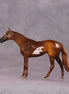 "Scintilla" OOAK Thoroughbred Chip by Anna Rieck SHCF25OS