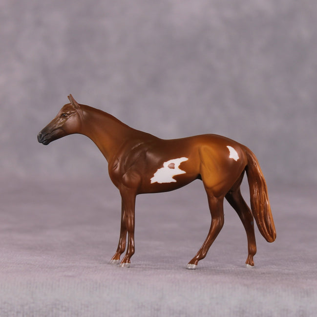"Scintilla" OOAK Thoroughbred Chip by Anna Rieck SHCF25OS