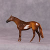 &quot;Scintilla&quot; OOAK Thoroughbred Chip by Anna Rieck SHCF25OS