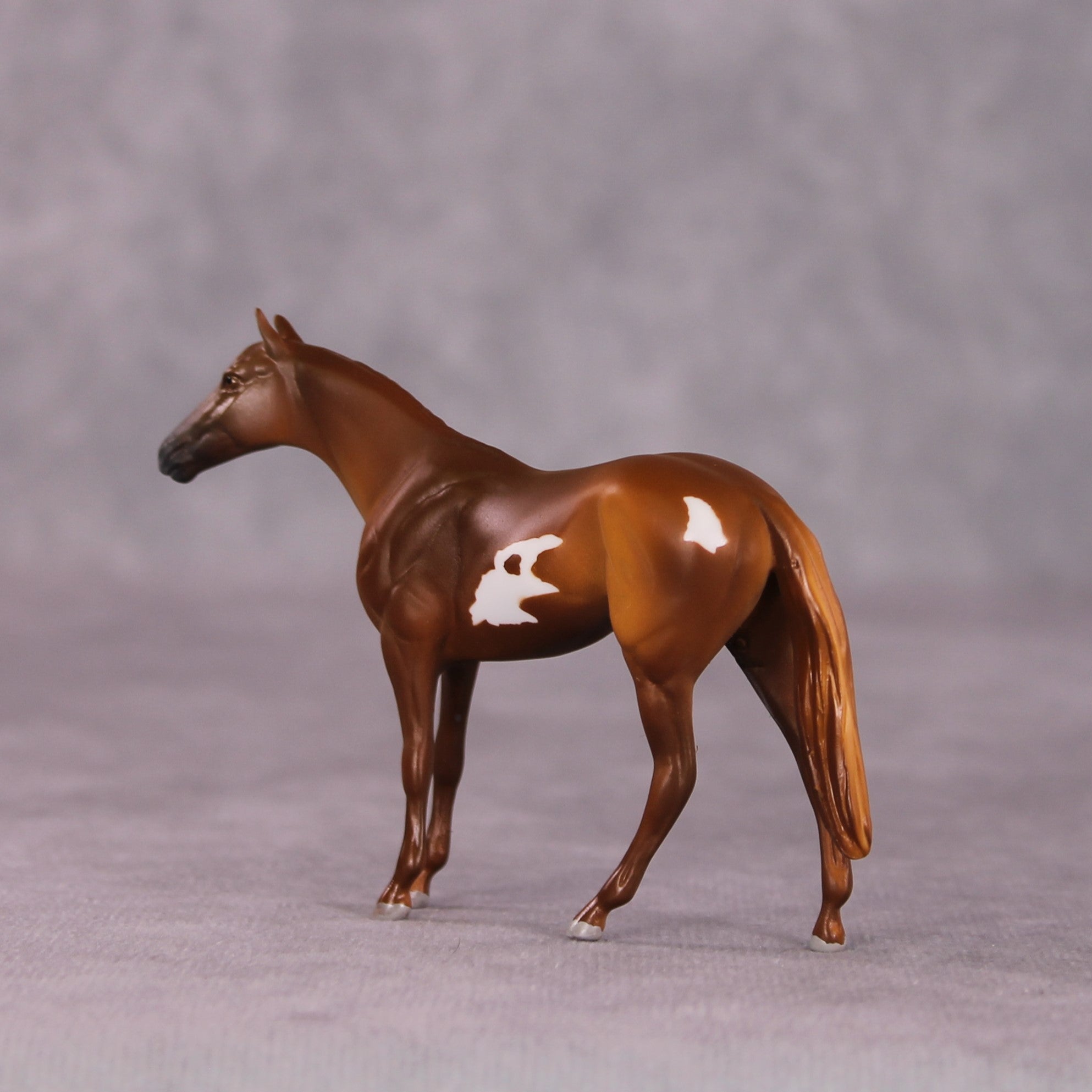 "Scintilla" OOAK Thoroughbred Chip by Anna Rieck SHCF25OS