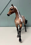 Ellesmere OOAK Dappled Varnish Roan By Caroline Boydston - Best Offer 5/14/24