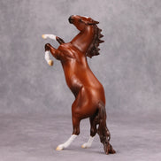 Belvedere OOAK Chestnut Rearing Pebble By Jamie Adamson MM24