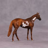 &quot;Scintilla&quot; OOAK Thoroughbred Chip by Anna Rieck SHCF25OS