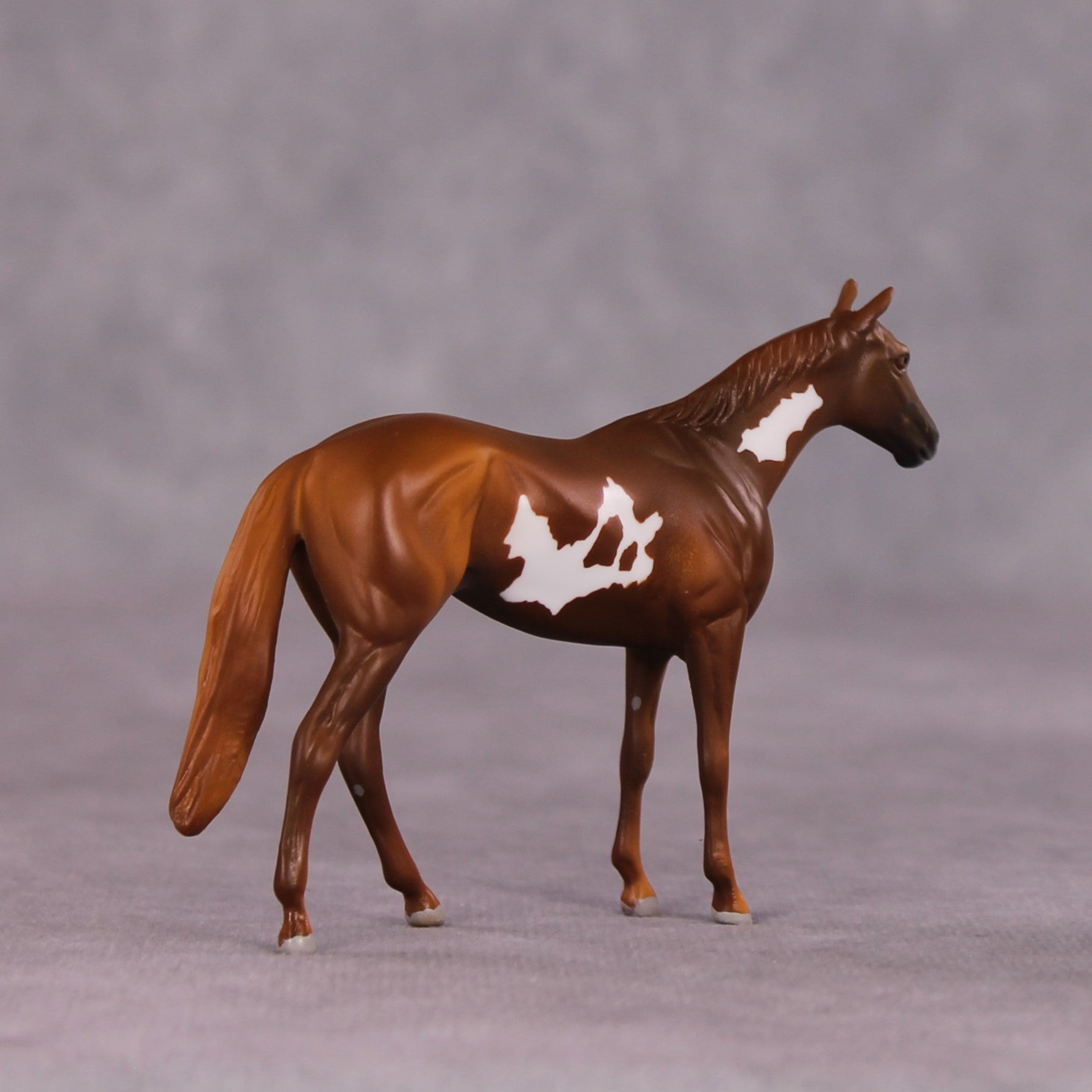 "Scintilla" OOAK Thoroughbred Chip by Anna Rieck SHCF25OS