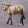 &quot;Anise&quot; OOAK Dappled Mule by Guest Artist Mindy Berg Best Offer 02/25/2025