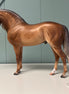 Borneo Dappled Sooty Buckskin Custom Andalusian By Caroline Boydston - Best Offer 5/14/24