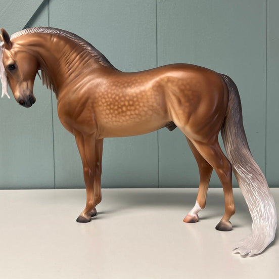 Borneo Dappled Sooty Buckskin Custom Andalusian By Caroline Boydston - Best Offer 5/14/24