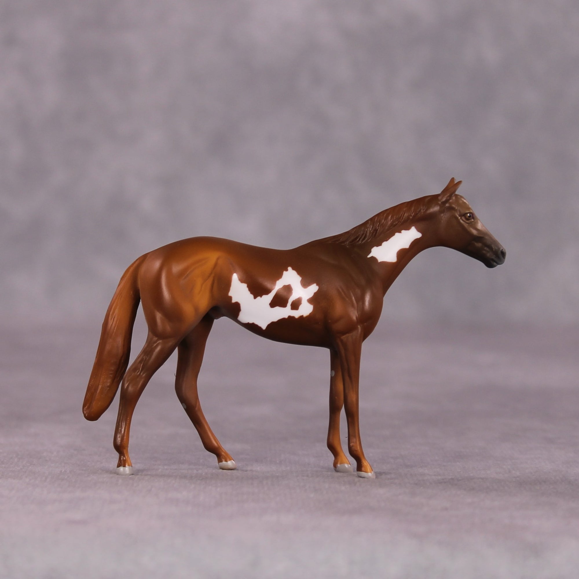 "Scintilla" OOAK Thoroughbred Chip by Anna Rieck SHCF25OS