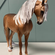 Borneo Dappled Sooty Buckskin Custom Andalusian By Caroline Boydston - Best Offer 5/14/24