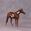 &quot;Scintilla&quot; OOAK Thoroughbred Chip by Anna Rieck SHCF25OS