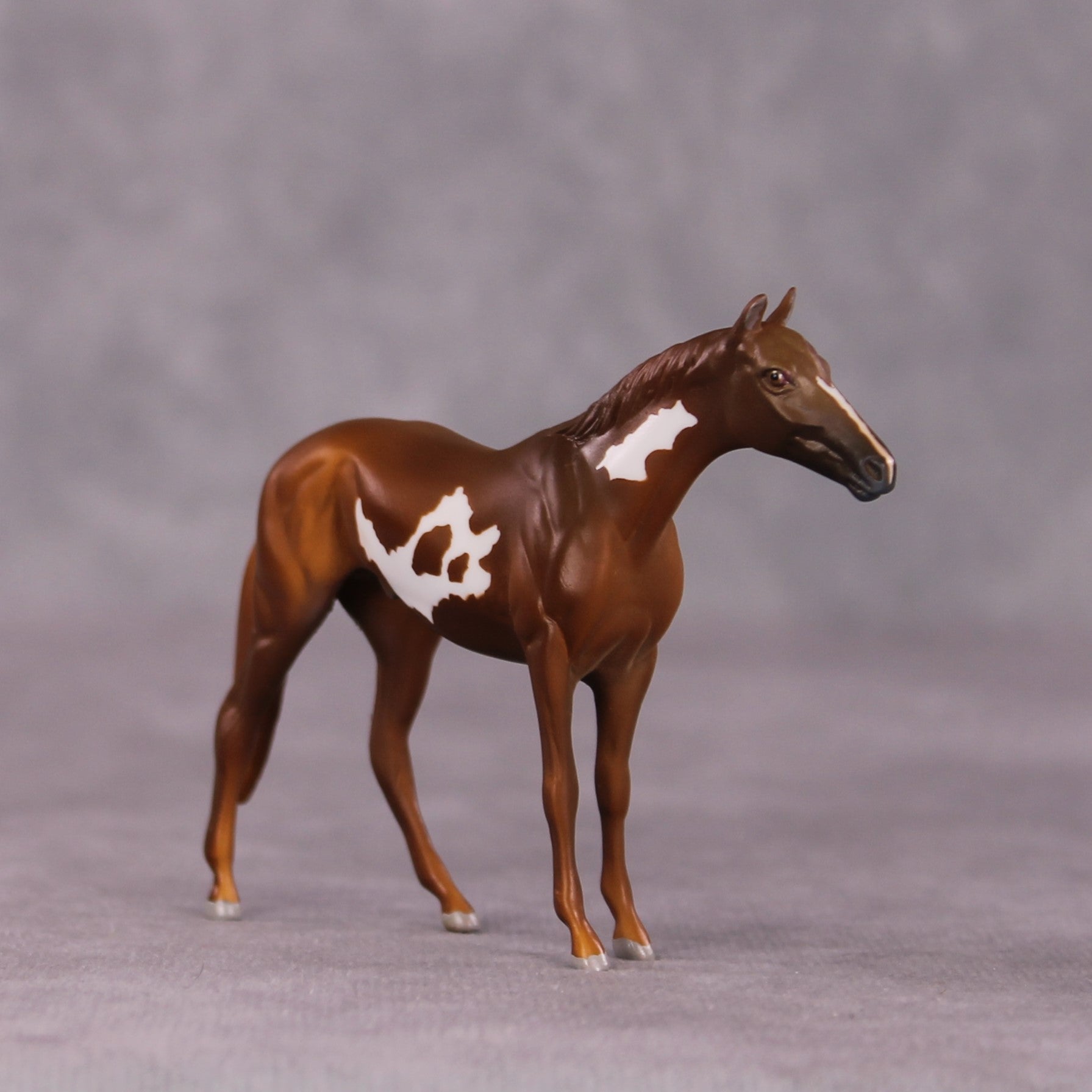 "Scintilla" OOAK Thoroughbred Chip by Anna Rieck SHCF25OS