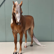 Borneo Dappled Sooty Buckskin Custom Andalusian By Caroline Boydston - Best Offer 5/14/24