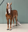 Borneo Dappled Sooty Buckskin Custom Andalusian By Caroline Boydston - Best Offer 5/14/24