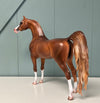 Tasmania OOAK Dappled Chestnut Custom Arabian By Caroline Boydston - Best Offer 5/21/24