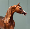 Tasmania OOAK Dappled Chestnut Custom Arabian By Caroline Boydston - Best Offer 5/21/24