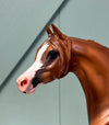 Tasmania OOAK Dappled Chestnut Custom Arabian By Caroline Boydston - Best Offer 5/21/24