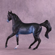 Blizzard Warning OOAK FCM Arabian Mare by Carissa Mathews DDOOAKs26