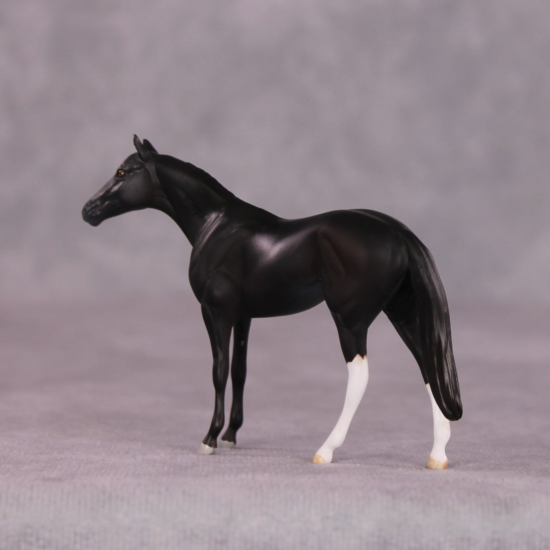 "Alacrity" OOAK Thoroughbred Chip by Anna Rieck SHCF25OS
