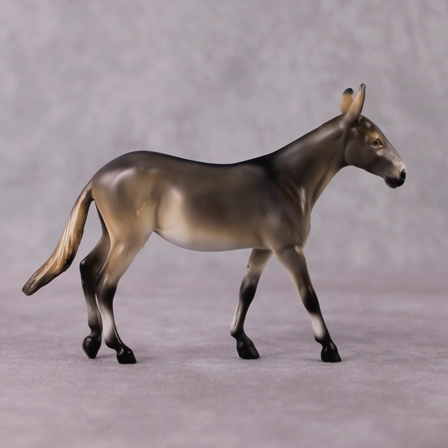 "Berbere" OOAK Grulla Mule Chip By Guest Artist Mindy Berg