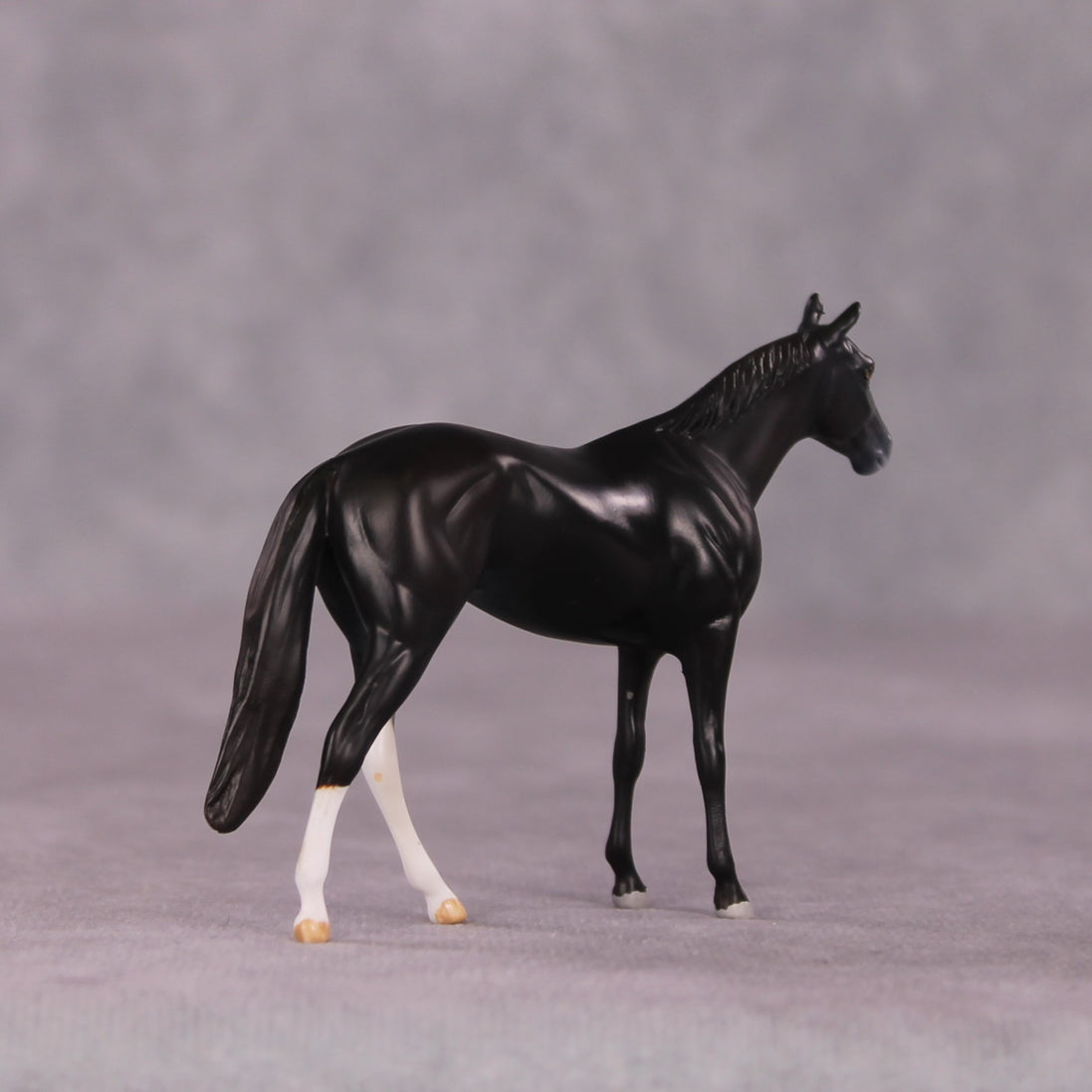 "Alacrity" OOAK Thoroughbred Chip by Anna Rieck SHCF25OS