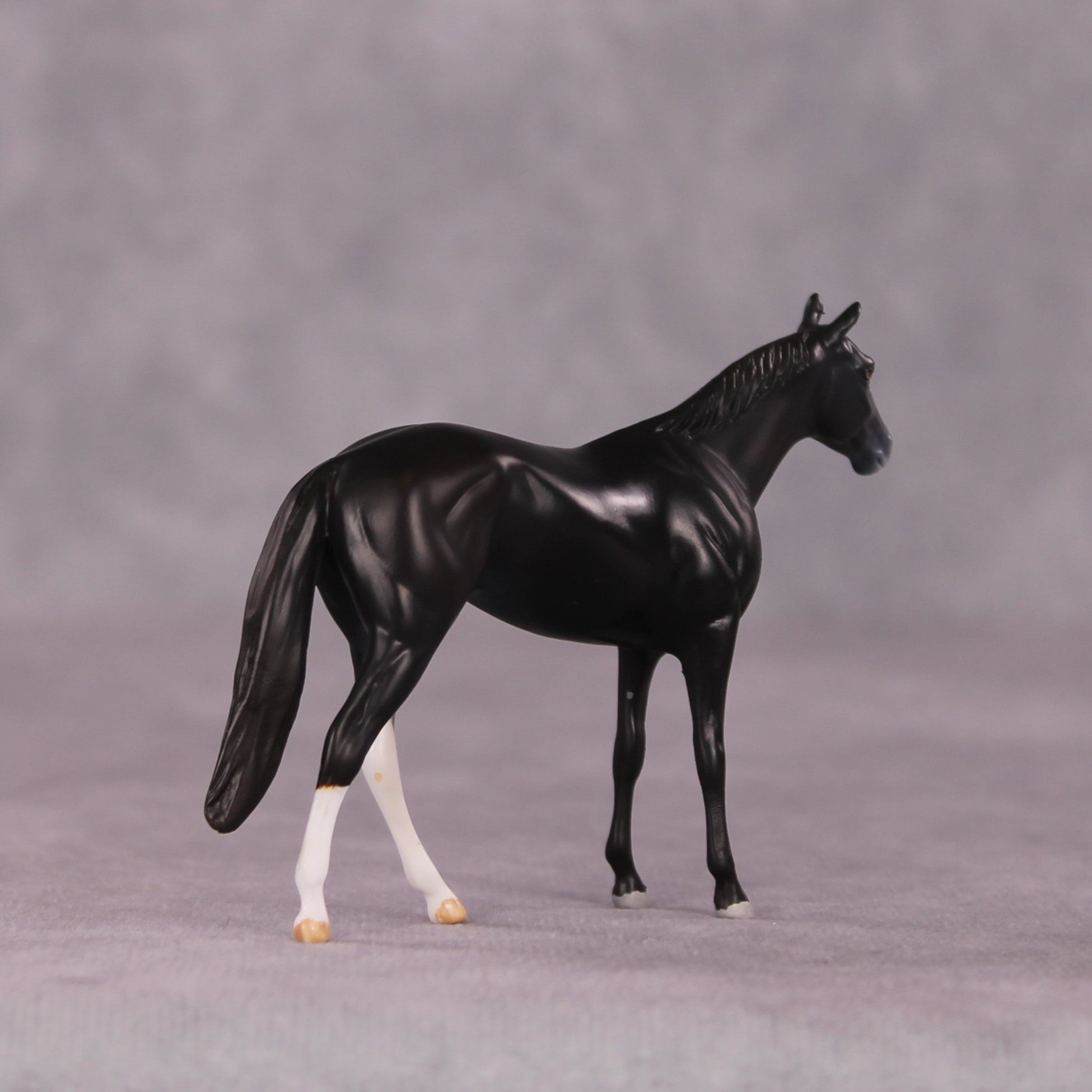 "Alacrity" OOAK Thoroughbred Chip by Anna Rieck SHCF25OS