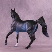 Blizzard Warning OOAK FCM Arabian Mare by Carissa Mathews DDOOAKs26