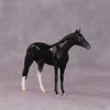 &quot;Alacrity&quot; OOAK Thoroughbred Chip by Anna Rieck SHCF25OS