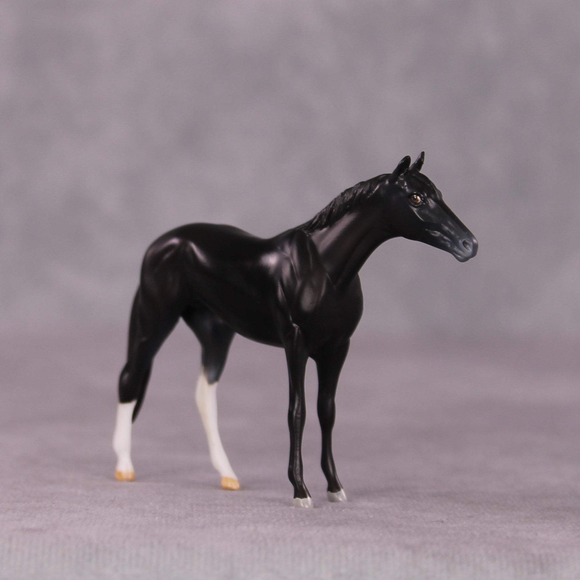 "Alacrity" OOAK Thoroughbred Chip by Anna Rieck SHCF25OS