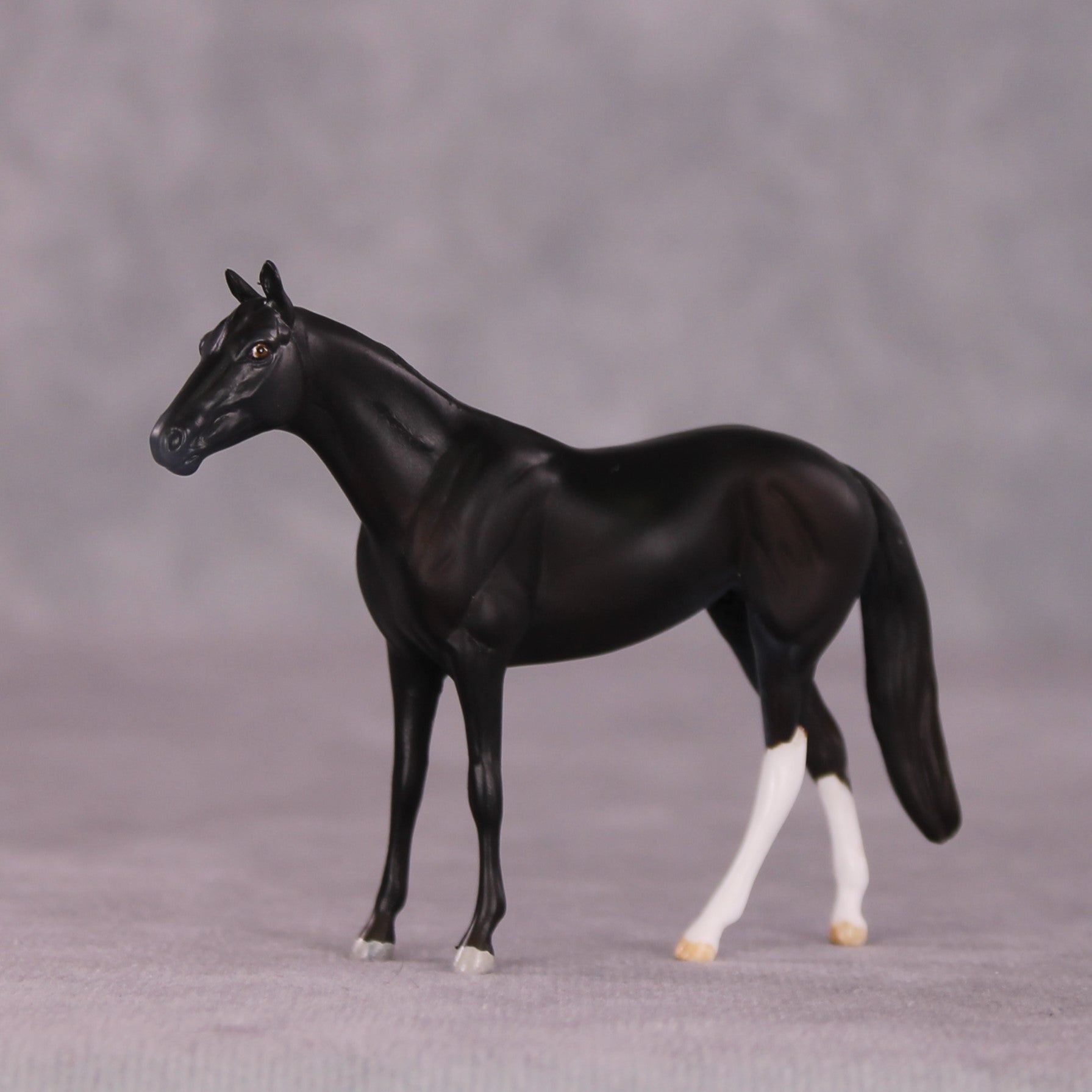 "Alacrity" OOAK Thoroughbred Chip by Anna Rieck SHCF25OS