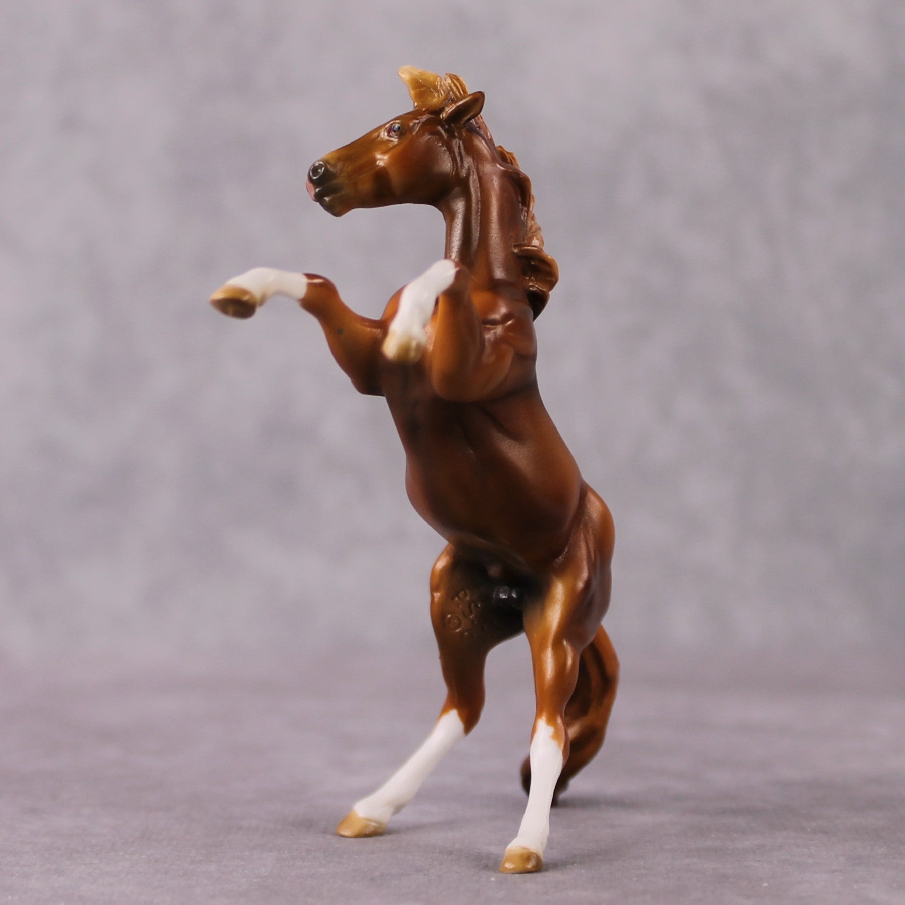 "Cardamom" OOAK Chestnut W/ Socks Rearing Chip By Guest Artist Mindy Berg