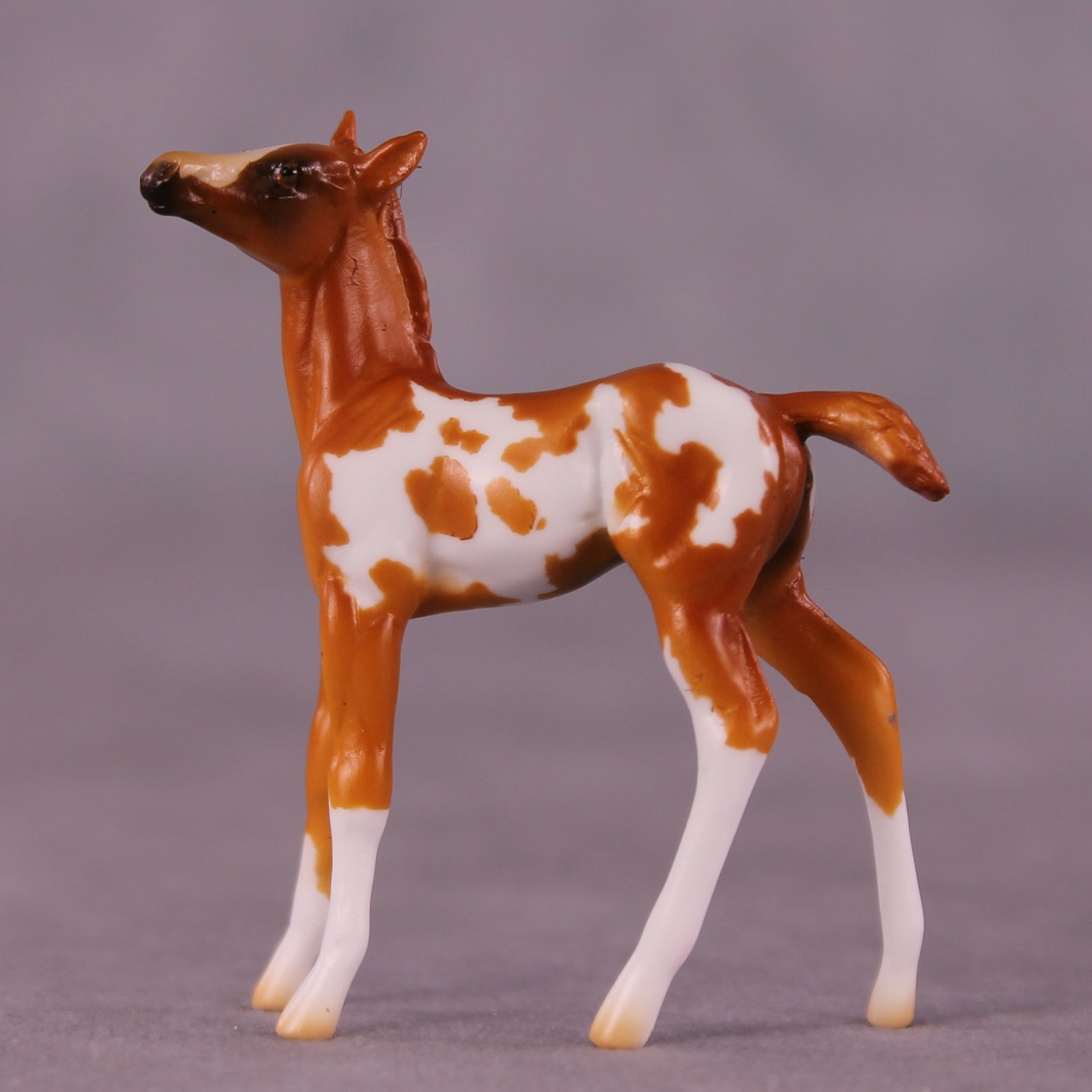 Falina OOAK Foal Chip by Erin Corbett EQ25