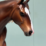 Berkner OOAK Dappled Liver Chestnut Custom Irish Draught By Caroline Boydston - Best Offer 5/21/24