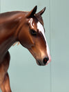 Berkner OOAK Dappled Liver Chestnut Custom Irish Draught By Caroline Boydston - Best Offer 5/21/24