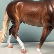 Berkner OOAK Dappled Liver Chestnut Custom Irish Draught By Caroline Boydston - Best Offer 5/21/24