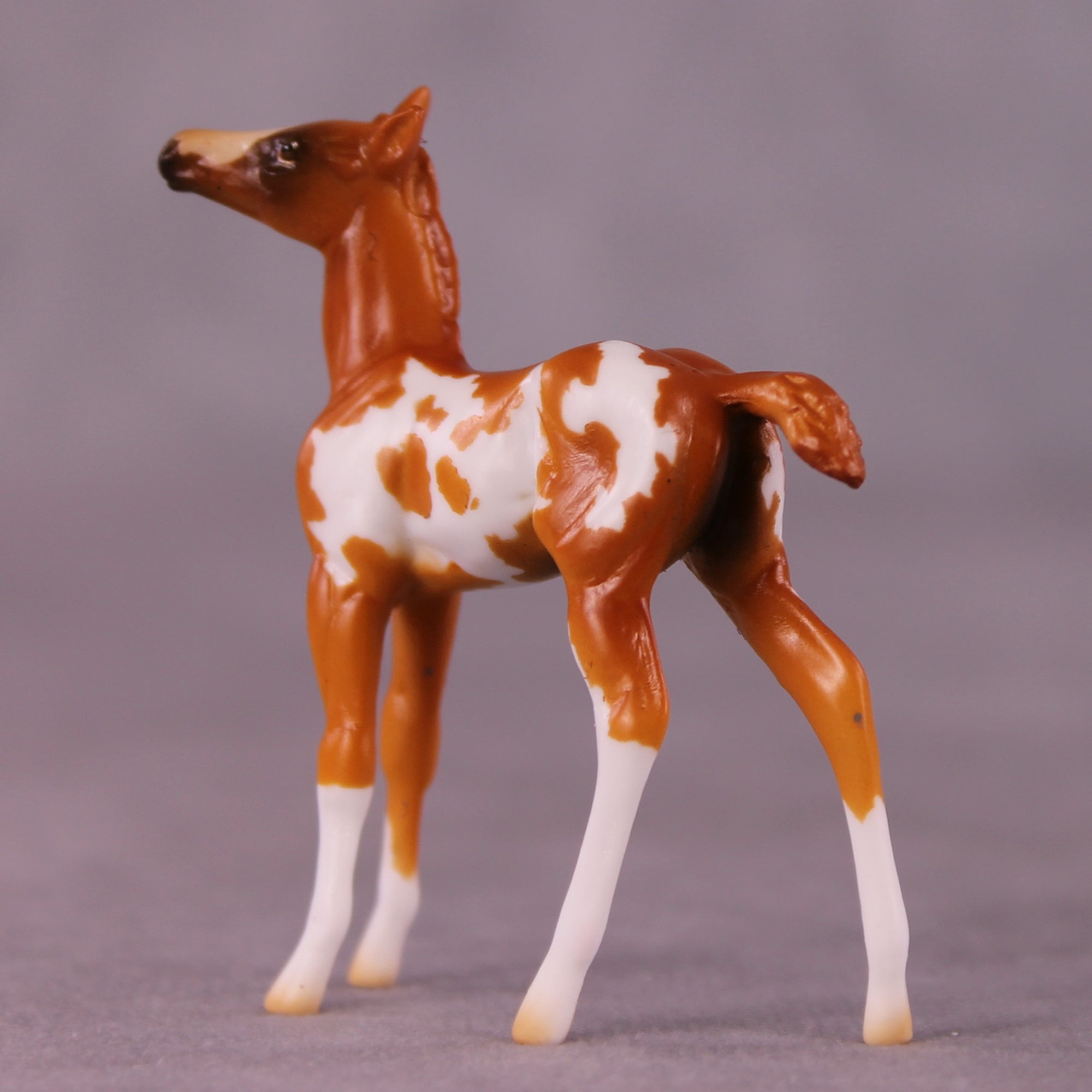 Falina OOAK Foal Chip by Erin Corbett EQ25