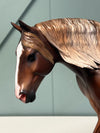 Berkner OOAK Dappled Liver Chestnut Custom Irish Draught By Caroline Boydston - Best Offer 5/21/24